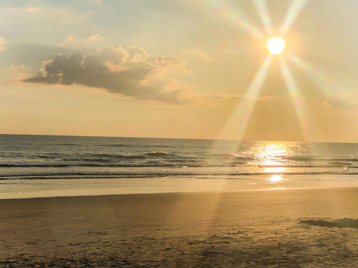 Sand Dollar Condominiums Daytona Beach Shores Ngoại thất bức ảnh