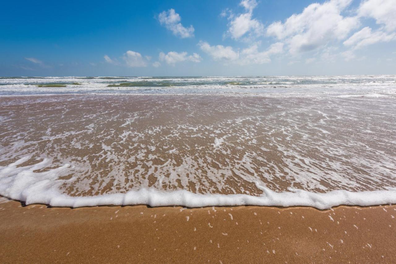 Sand Dollar Condominiums Daytona Beach Shores Ngoại thất bức ảnh